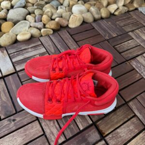 Nike Lebron Witness 8 VIII Size 12